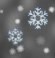 Light snow, Showers, Mostly cloudy